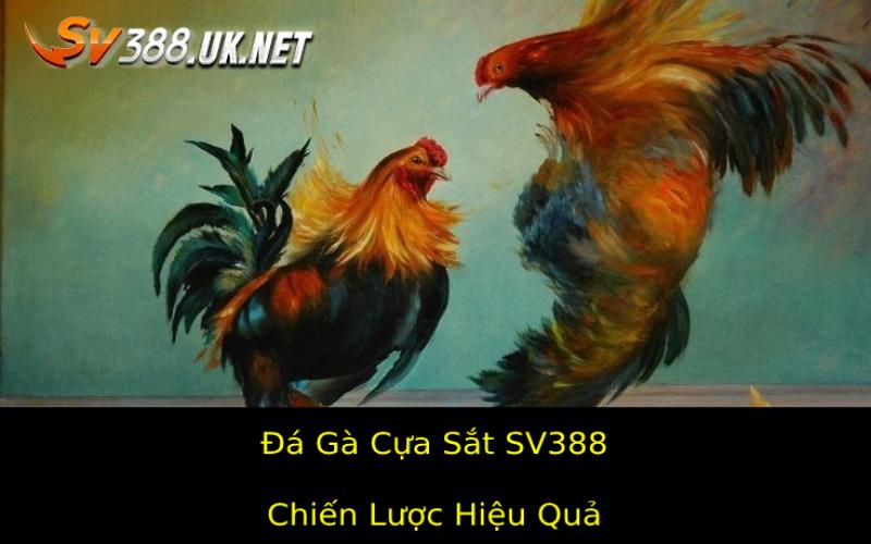 Đá Gà Cựa Sắt SV388 – Sự Kịch Tính Tại Trường Gà Nổi Tiếng Chiến Lược Hiệu Quả Dùng Cá Cược Đá Gà Cựa Sắt Sv388