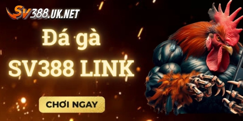 SV388 Link - Tổng Hợp Thông Tin Cần Thiết Cho Khách Hàng Lý do newbie không thể vào web