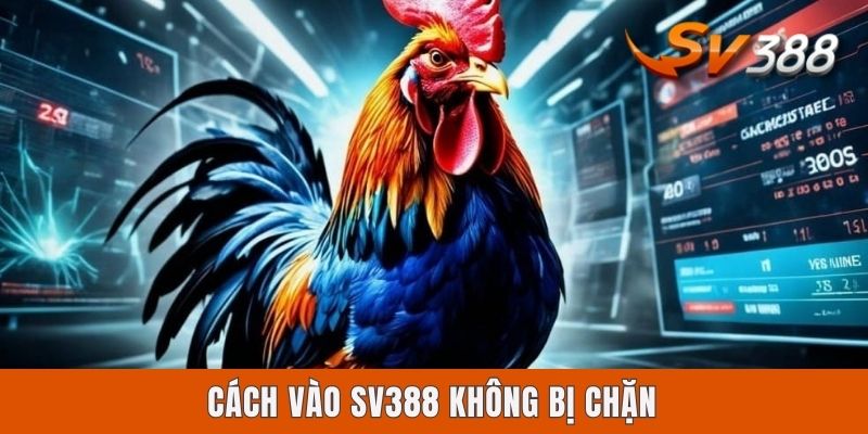 Cách Vào Sv388 Không Bị Chặn, Nhanh Chóng Qua 3 Bước A - Z Cách Vào Sv388 Không Bị Chặn, Nhanh Chóng Qua 3 Bước A - Z