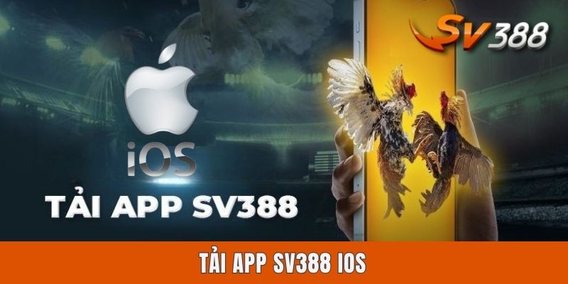 Tải App Sv388 iOS | Chỉ Dẫn 4 Bước Download Ứng Dụng A - Z
