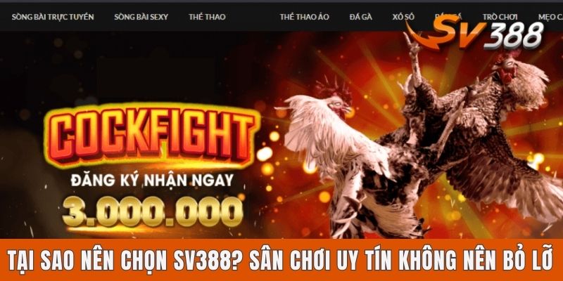 Tại Sao Nên Chọn Sv388? Sân Chơi Uy Tín Không Nên Bỏ Lỡ